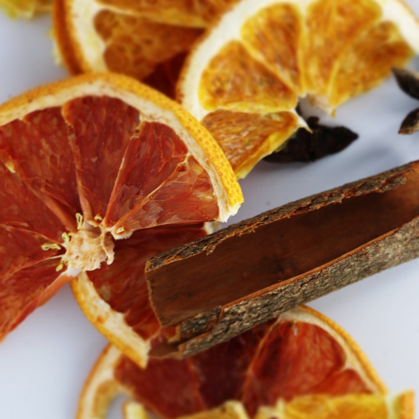 Citrus & Spice Infusion Mix - Steep Jar