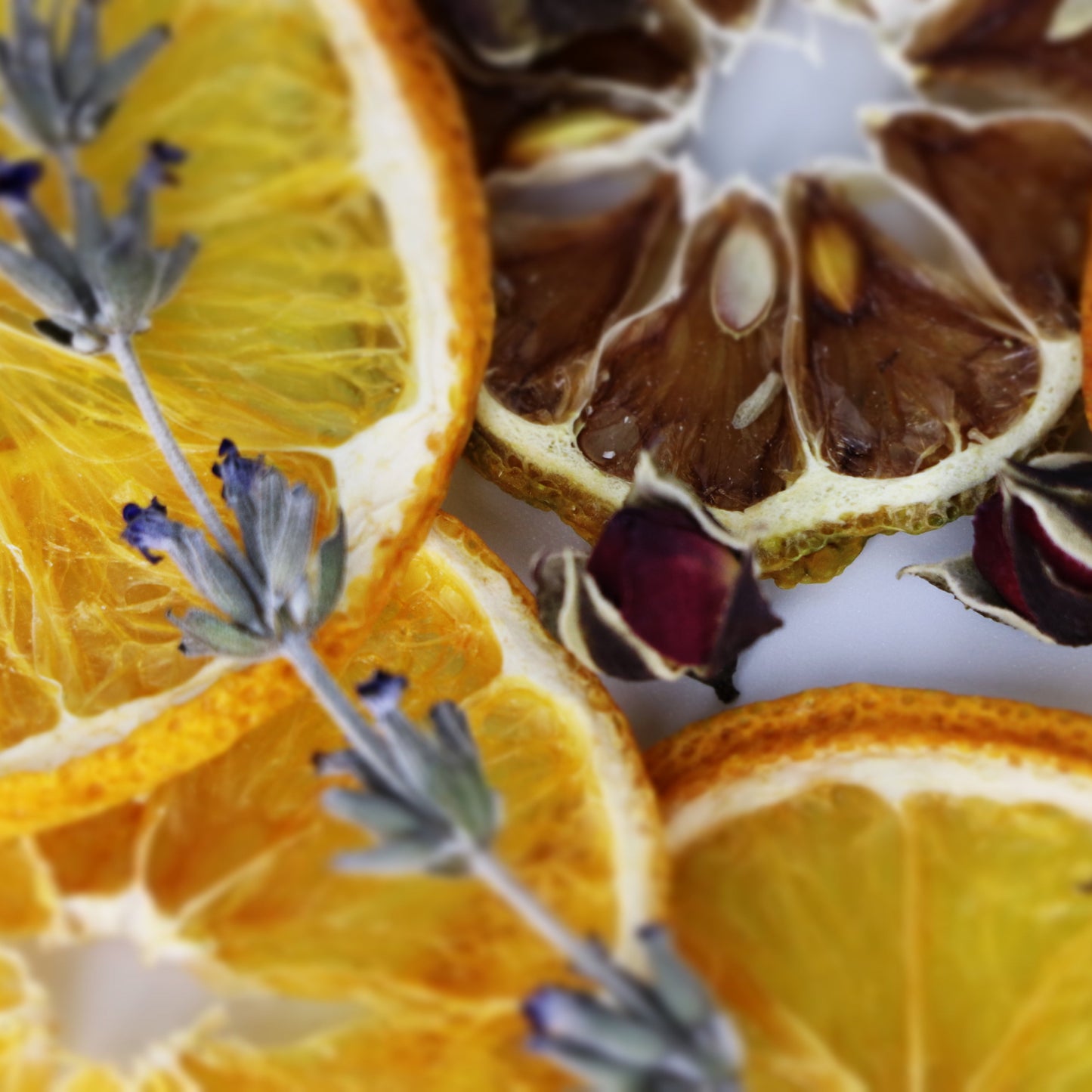 Petal & Zest Infusion Mix - Steep Jar